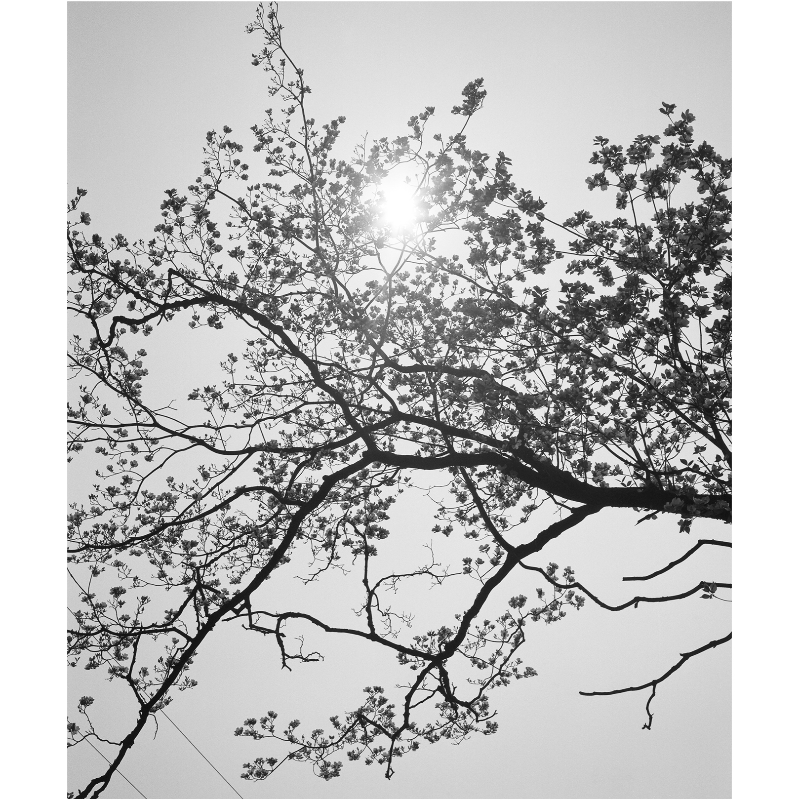 アート・デザイン・音楽 LIGHT SOURCES by JAMES WELLING James Welling